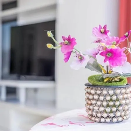 Apartman Olimpia *