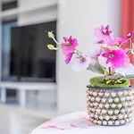 Apartment Olimpia *
